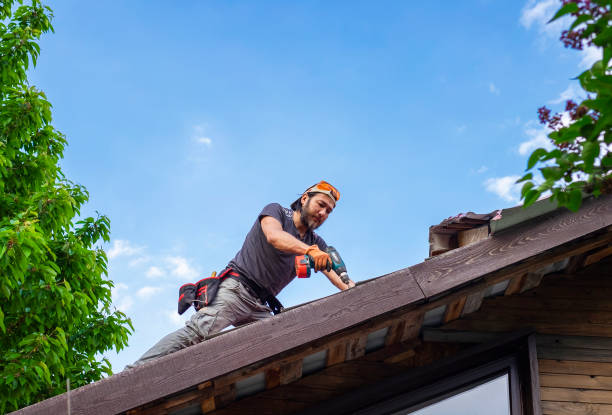 Best Roof Insulation Installation  in Munising, MI