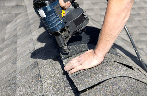 Best Skylight Installation and Repair  in Munising, MI